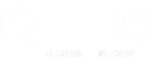 BSI ISO 9001 27001