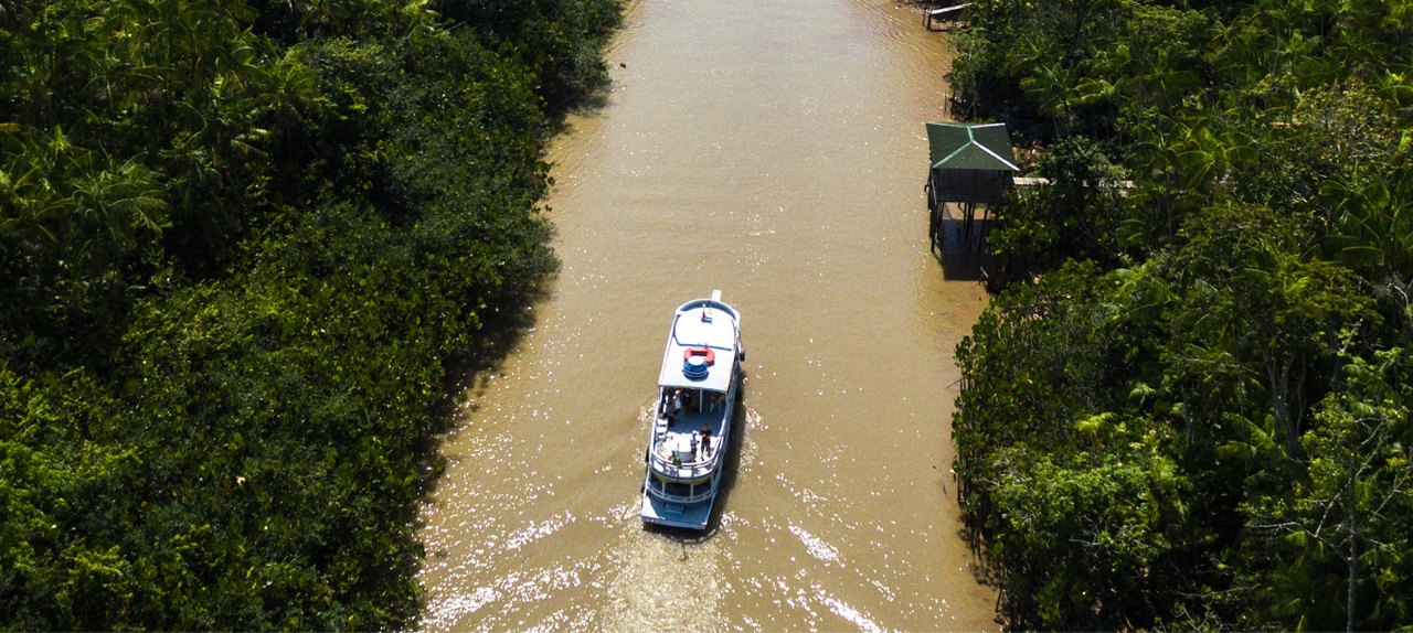 Image related to From Baku to Belém: What COP30 means for ESG