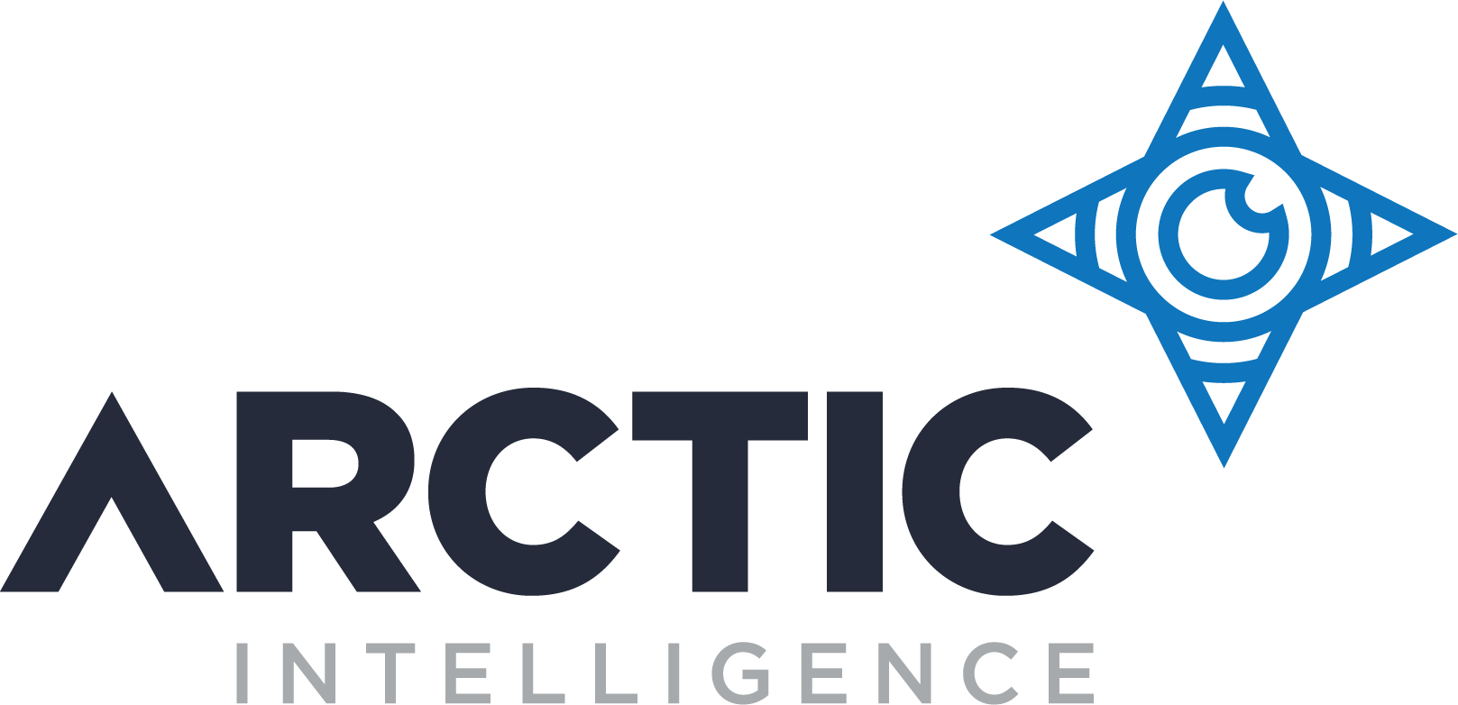 Arctic Intelligence Logo