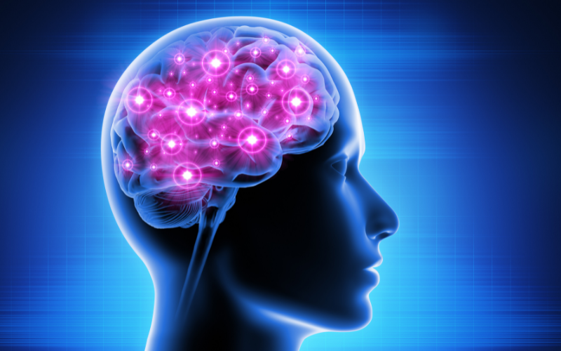 Brain activity