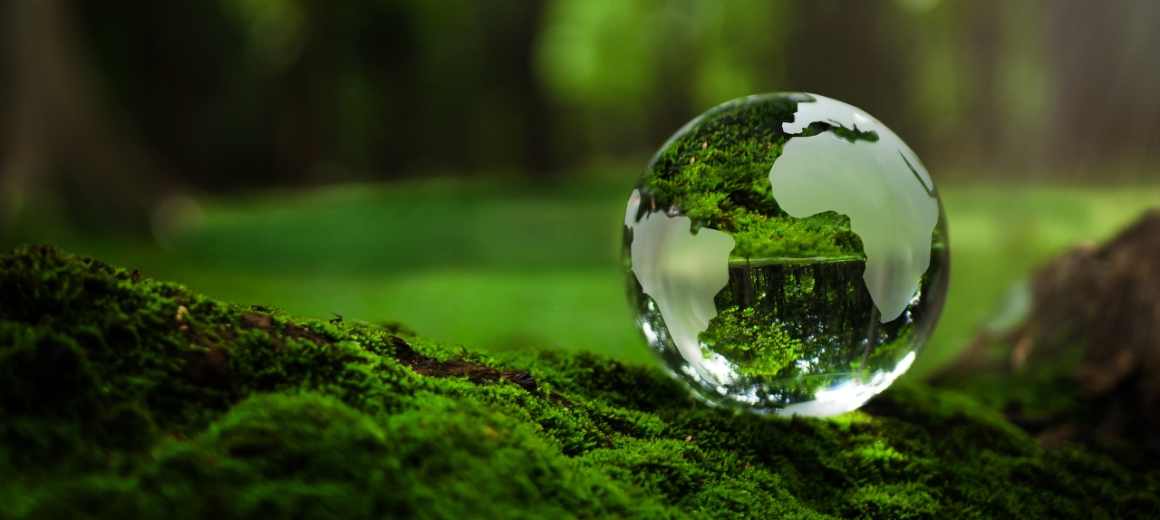 Image related to 5 key takeaways from COP30