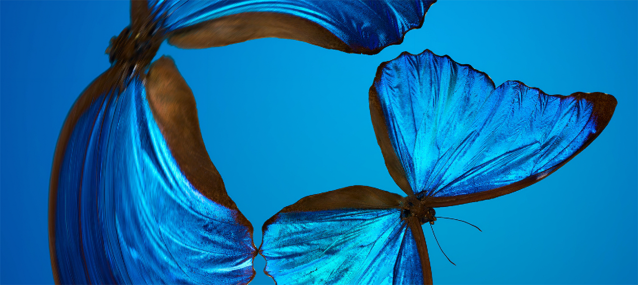 Image related to A 2022 Compliance Wish List