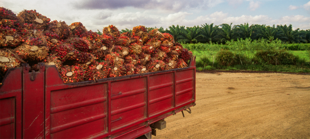 Image related to Where are we heading with ESG?